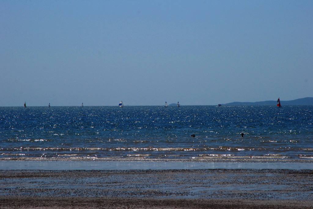 DSC_1517.jpg