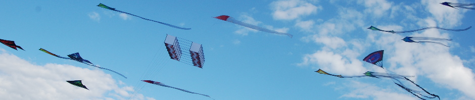 Emu Park Lions – Festival of the Wind