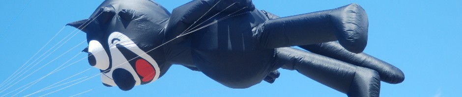 Emu Park Lions – Festival of the Wind