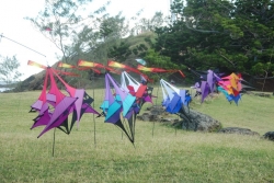 DSC_9514.jpg