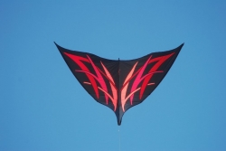 DSC_9549.jpg