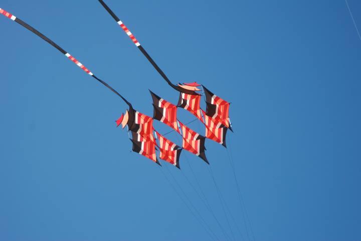 DSC_6054.jpg