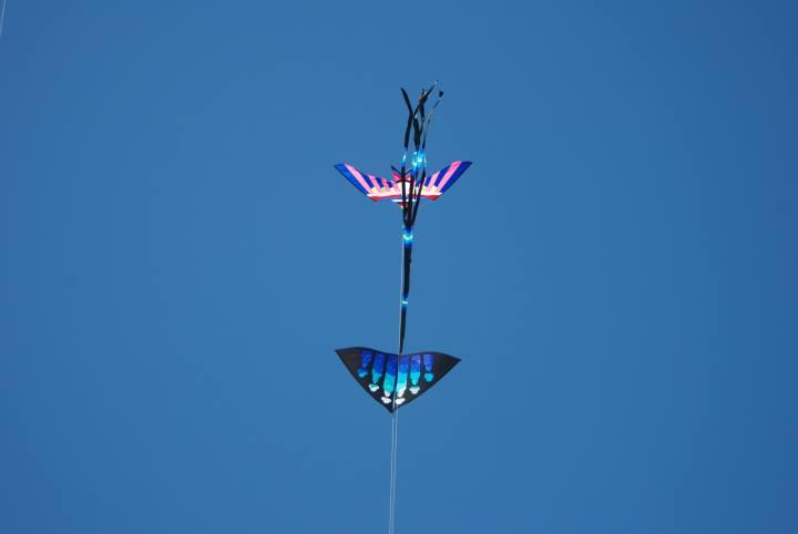 DSC_6055.jpg