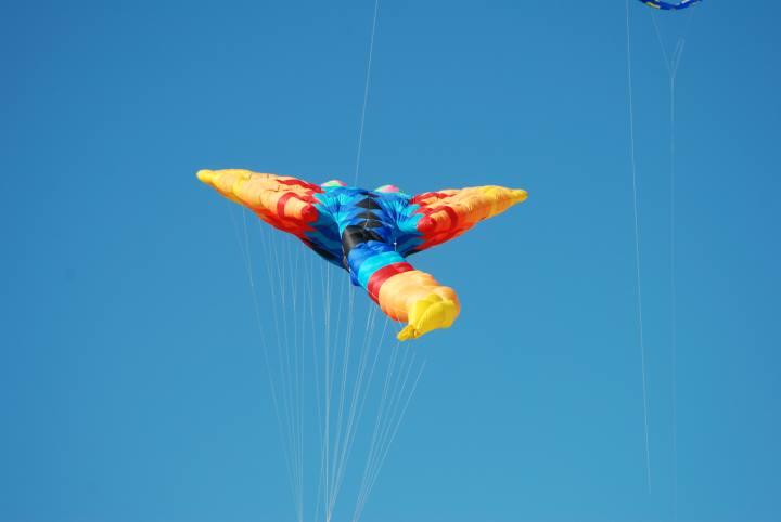 DSC_6056.jpg