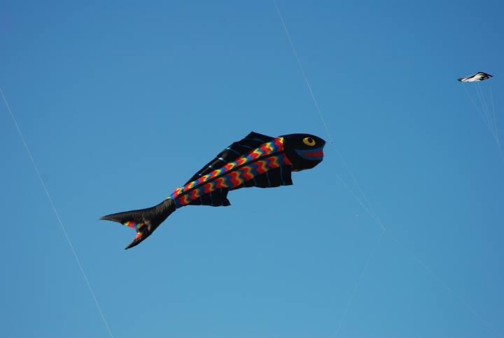 DSC_6200.jpg