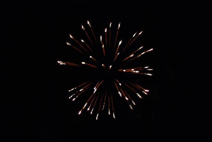 DSC_6295.jpg