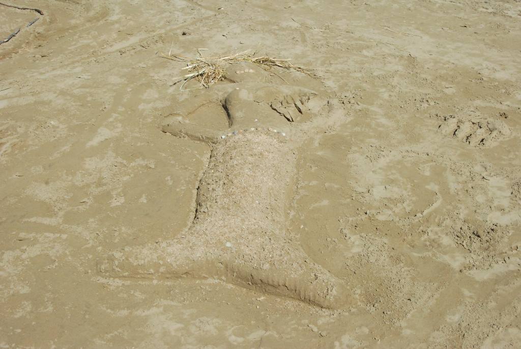 DSC_1711.jpg