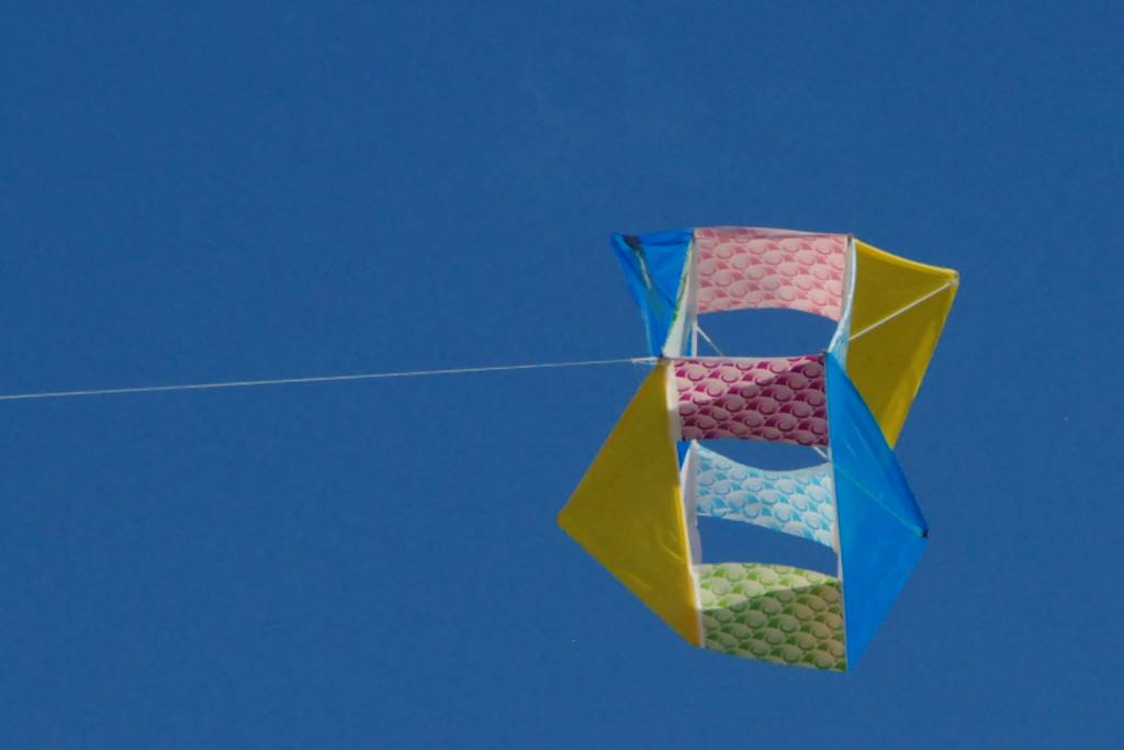 DSC_1884.jpg