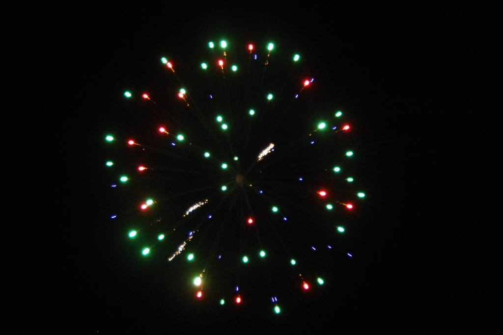 DSC_2133.jpg