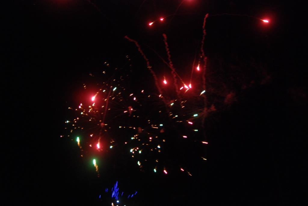 DSC_2339.jpg