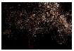DSC_2208.jpg
